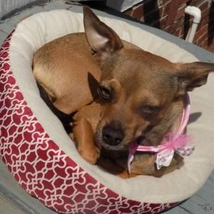 Meet your Posher, Debbie